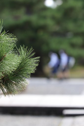 妙心寺はひとつの街である