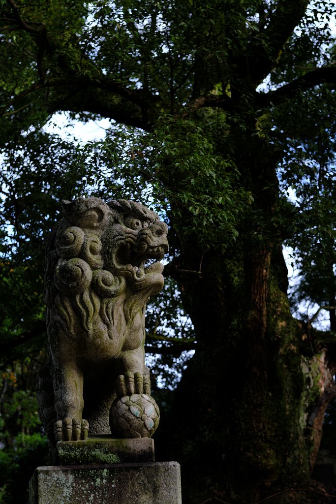 巨樹と獅子