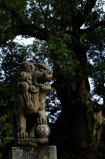 巨樹と獅子