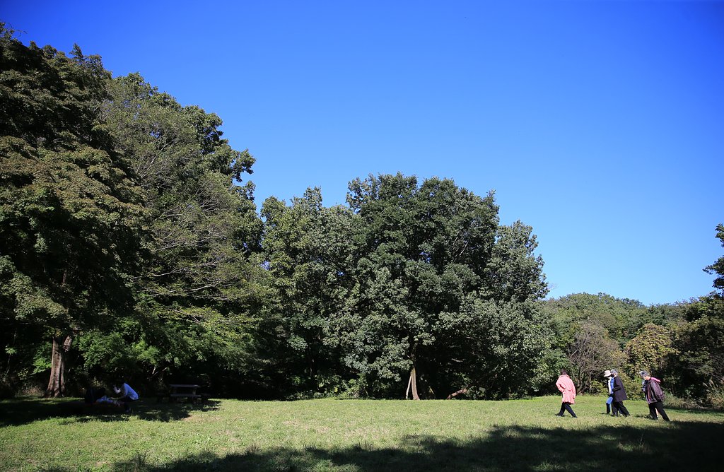 東京の里山にて