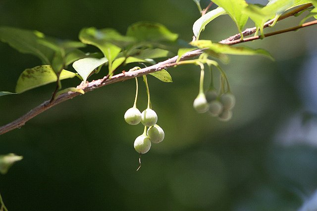沈思黙考