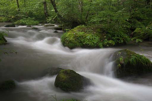 奥入瀬渓流