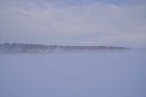空と大地の狭間