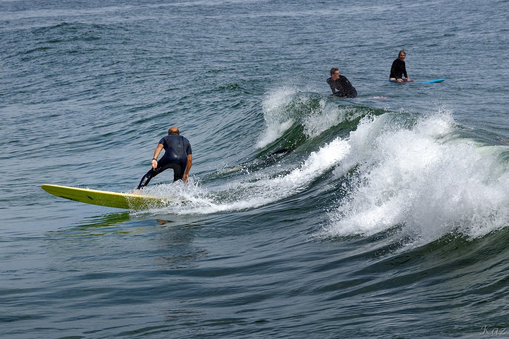 Surfer 7