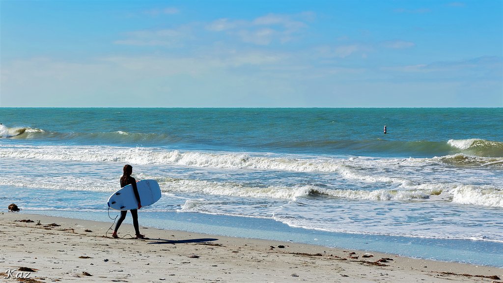 Surfer