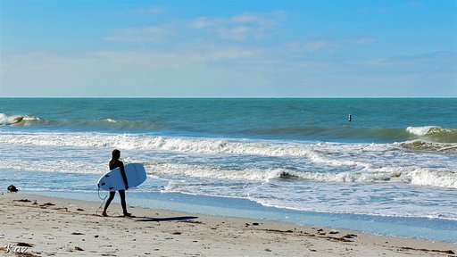 Surfer