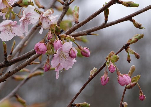 2月28日の写真