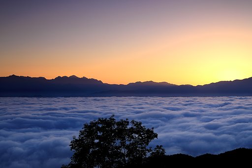 雲海を見に・・・