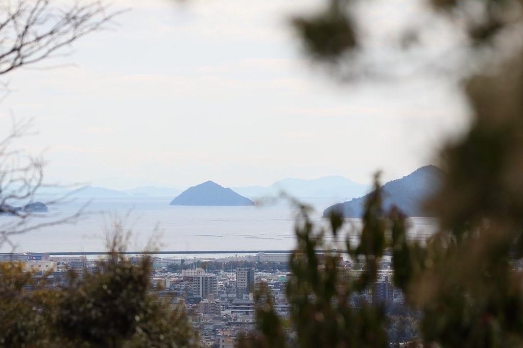 広島市植物公園からの眺望