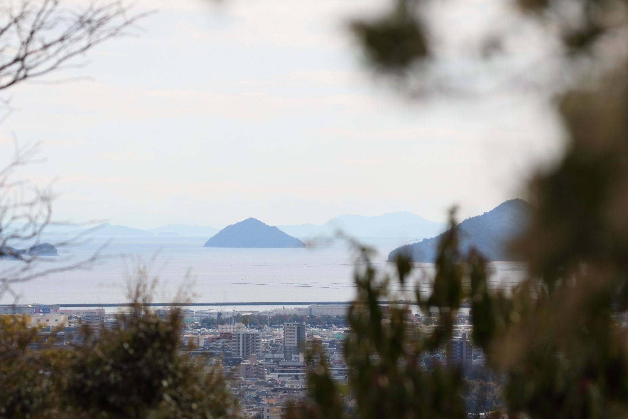 広島市植物公園からの眺望