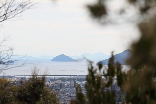 広島市植物公園からの眺望