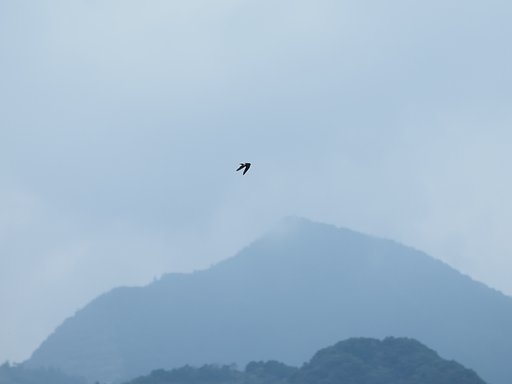 旅立ち間近