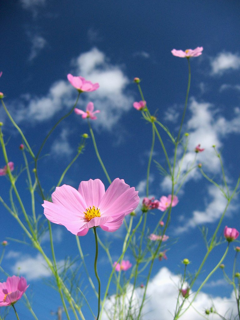 爽やかな9月