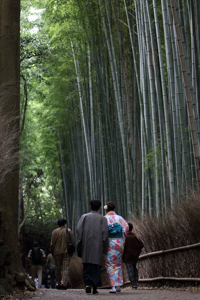 さわやか美人百景・竹林の小径