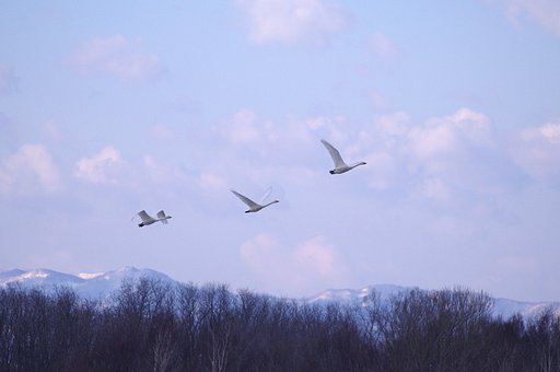 また旅を続ける