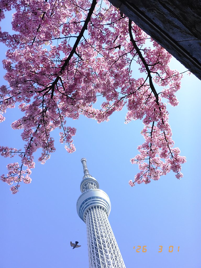 小吉