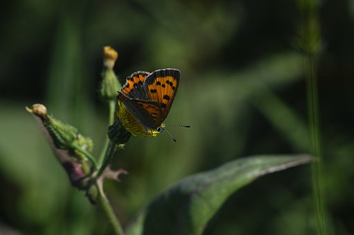 4月30日の写真