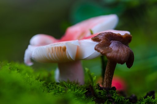 6月21日の写真
