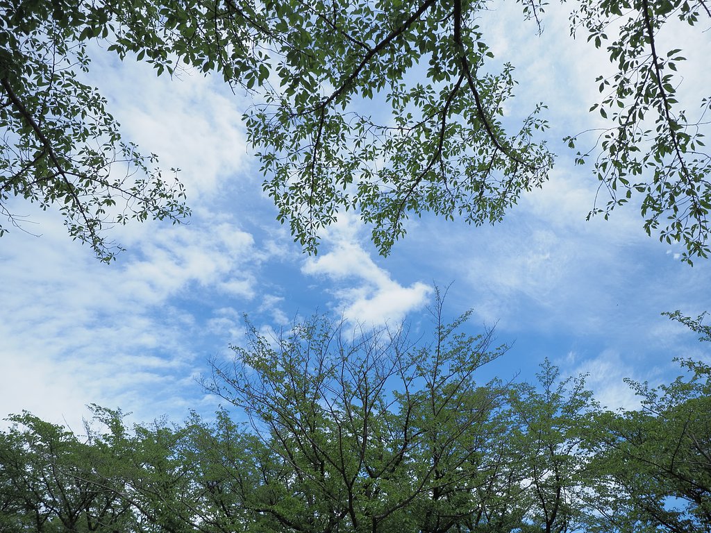 来春に思いを馳せ