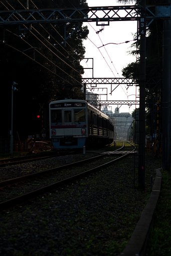 8月1日の写真