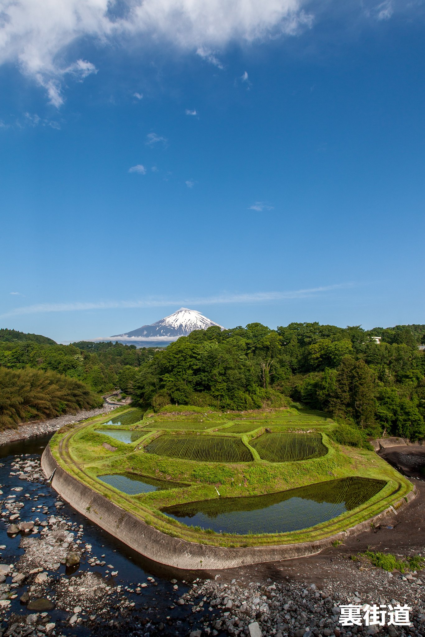 五月の下古城