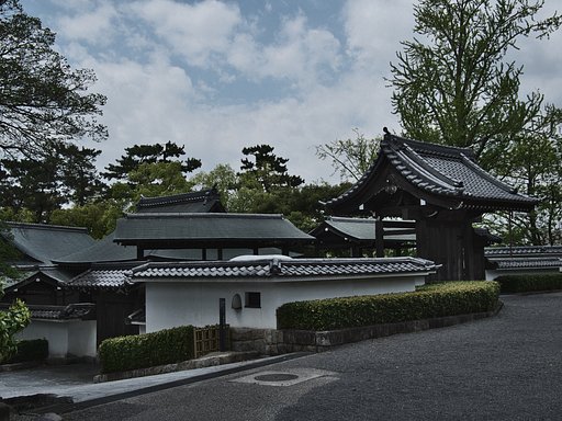4月24日の写真