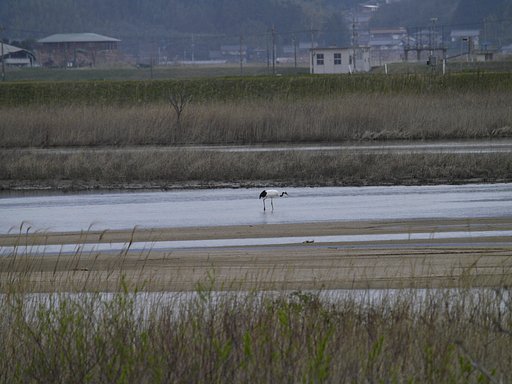 Leica D Vario-Elmar 14-150mm