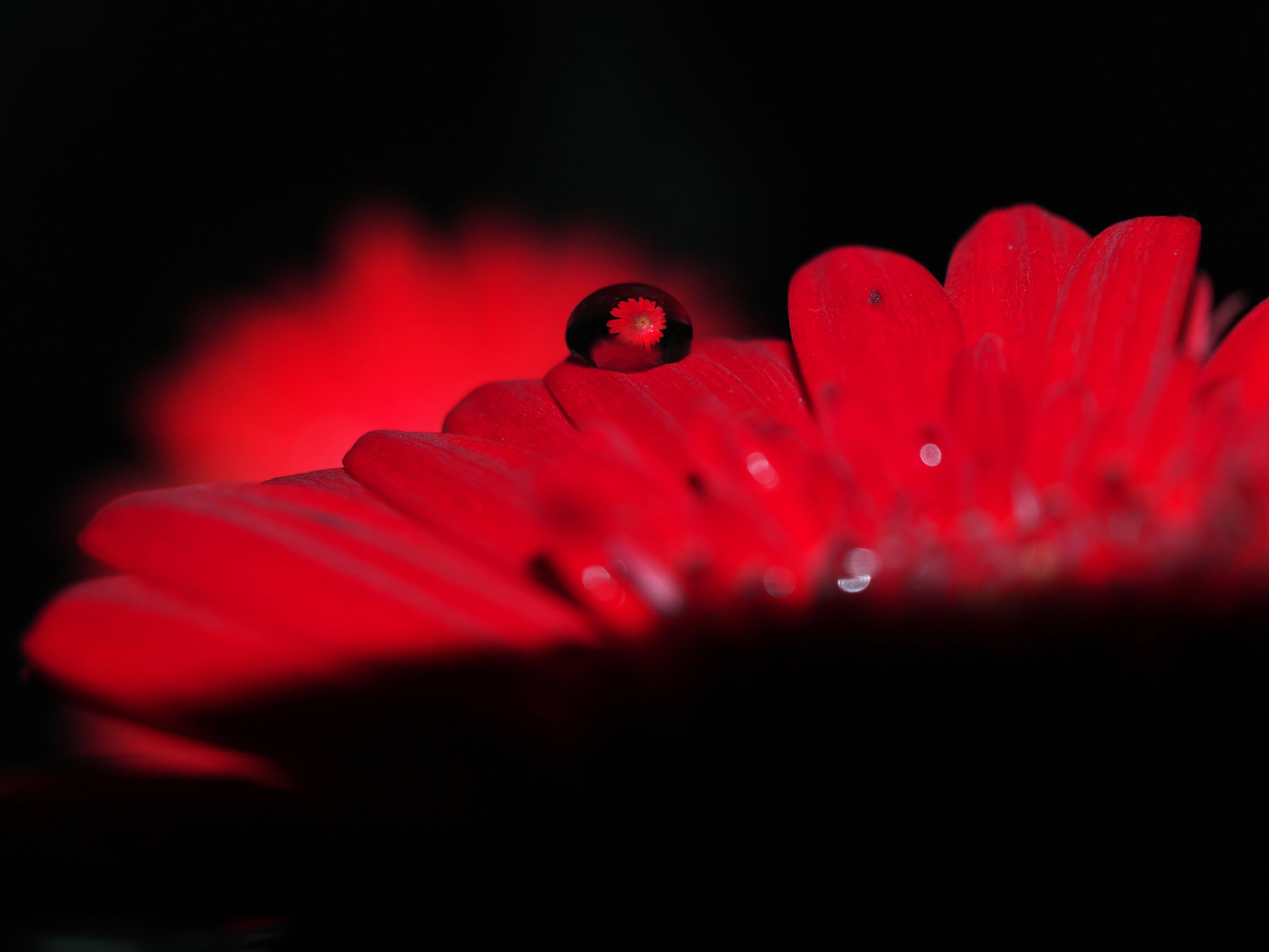 滴花