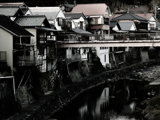 2月12日の写真