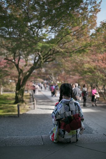11月16日の写真