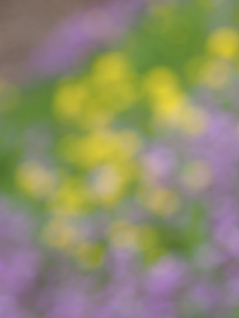 笑いをありがとう。