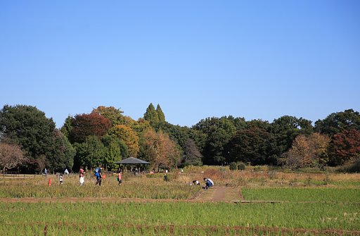 秋の家族
