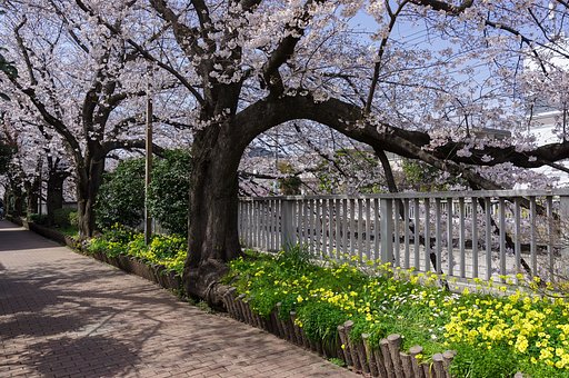 明るい未来へ