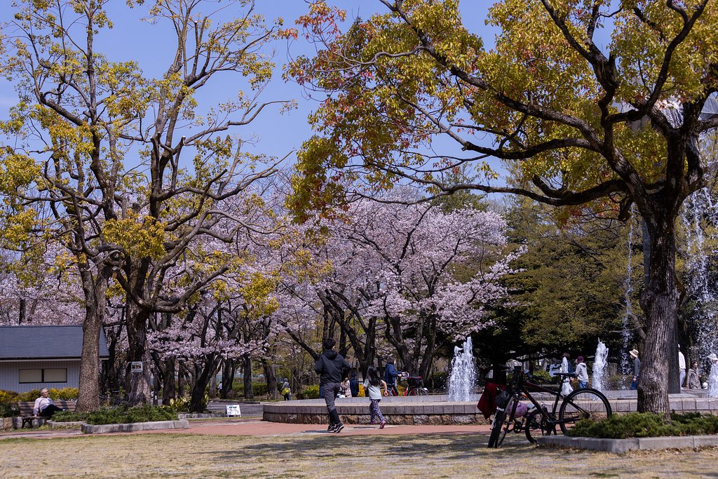 桜の花の穏やかさに
