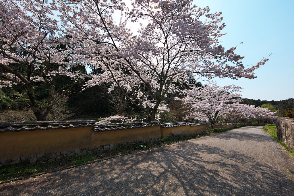土塀にて
