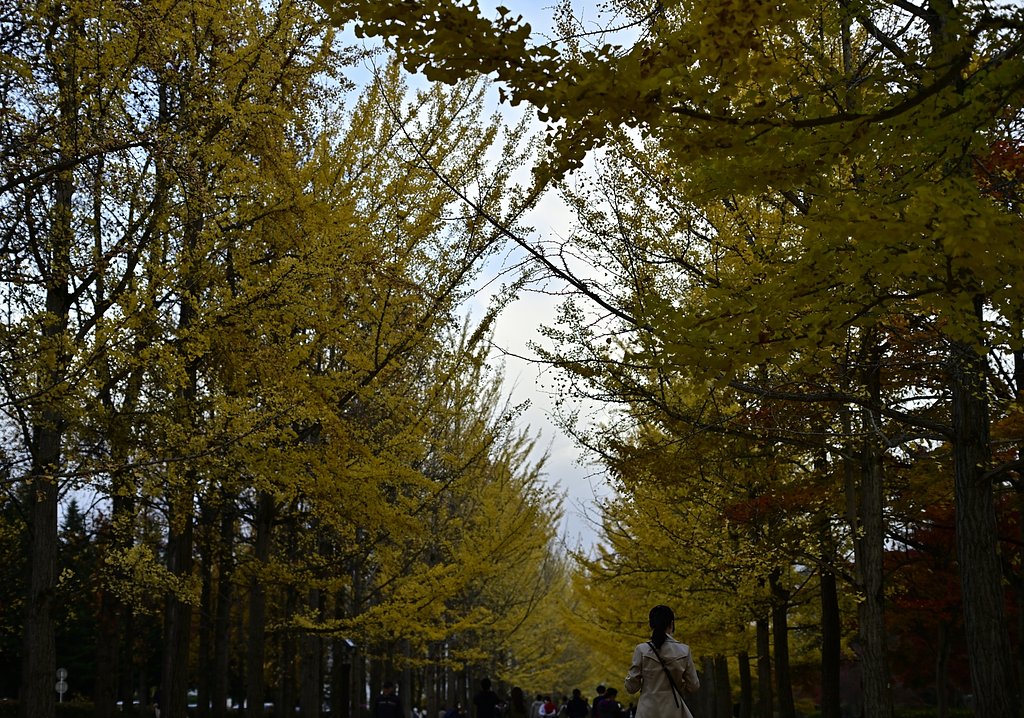 総合運動公園