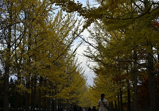 総合運動公園
