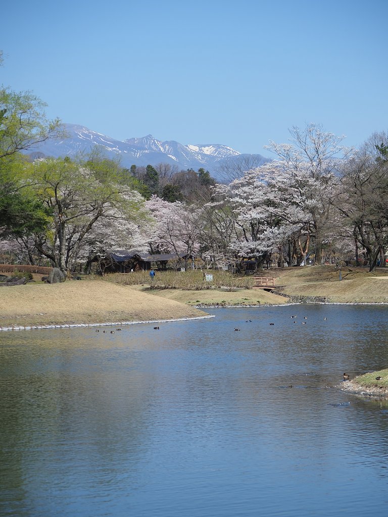 春のしじま