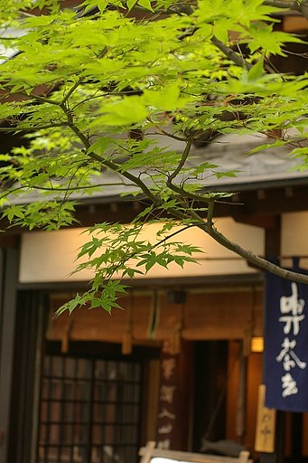 【TMM】商い中