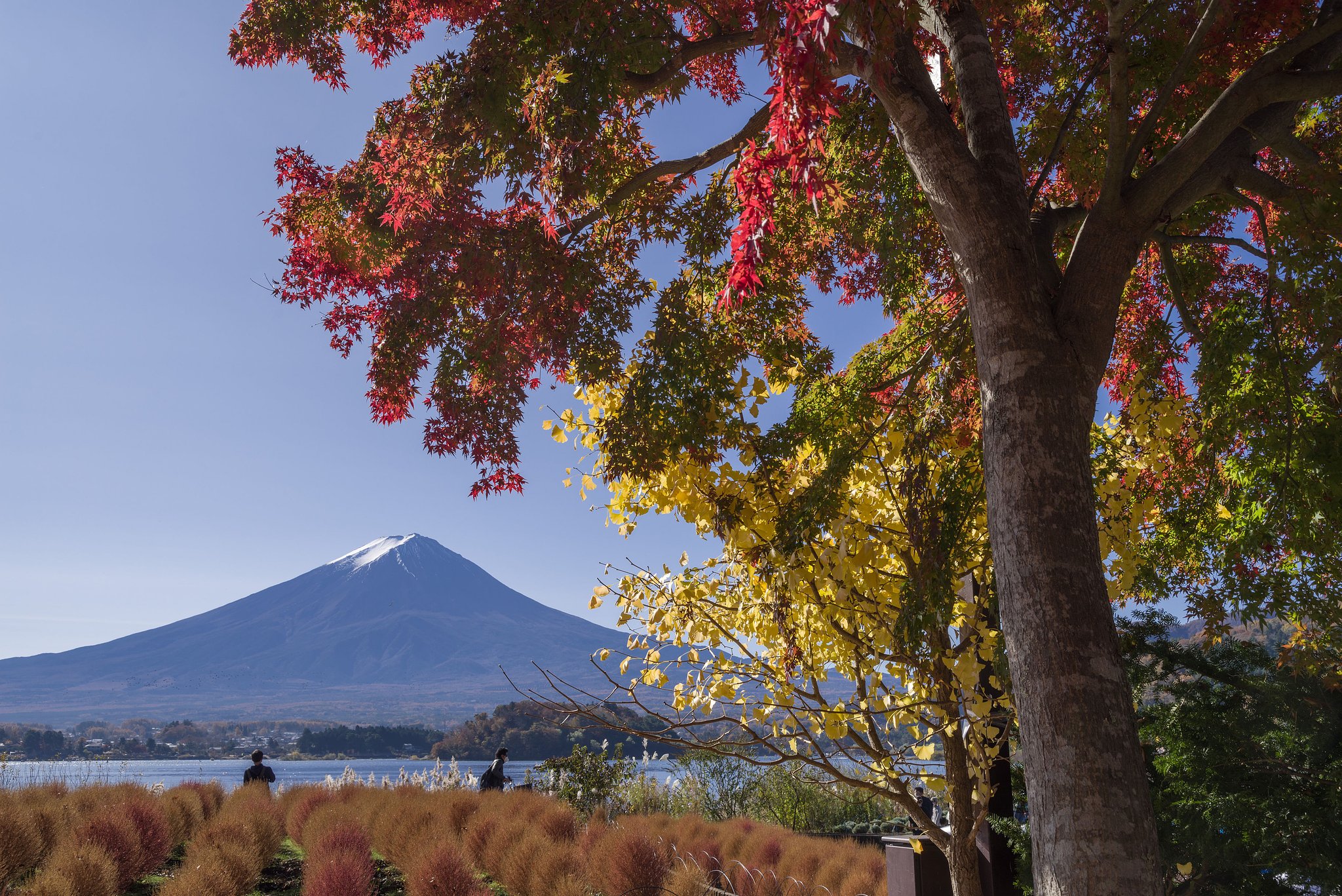 Fuji＆RGBY