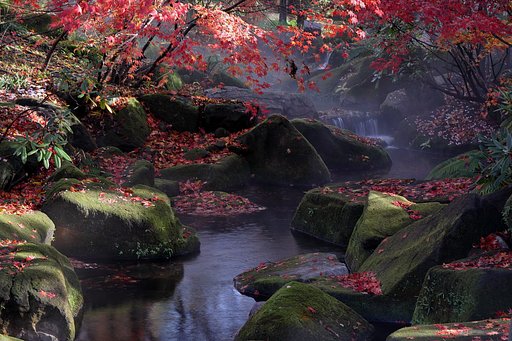 2020 最後の紅葉写真