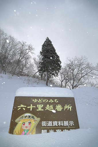 星空の如く