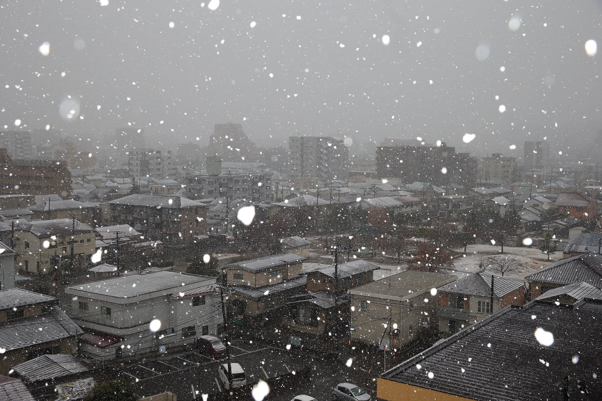 雪国～♬