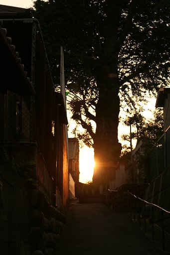 坂の上にあるもの