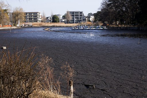 水のない池