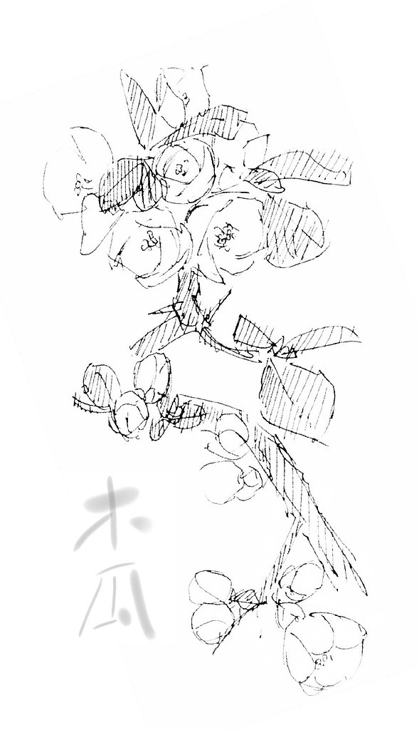 筆忠実、木瓜の花