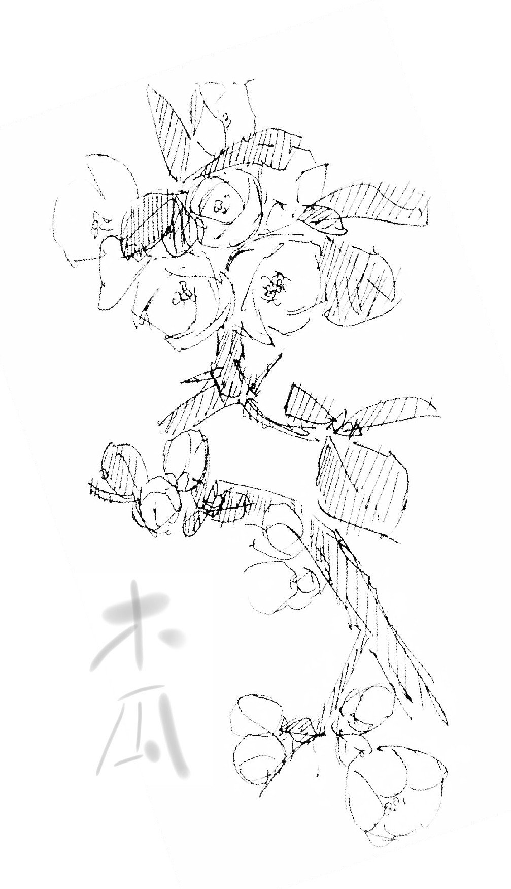 筆忠実、木瓜の花