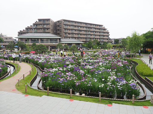 堀切菖蒲園