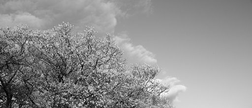 Sigma17-70