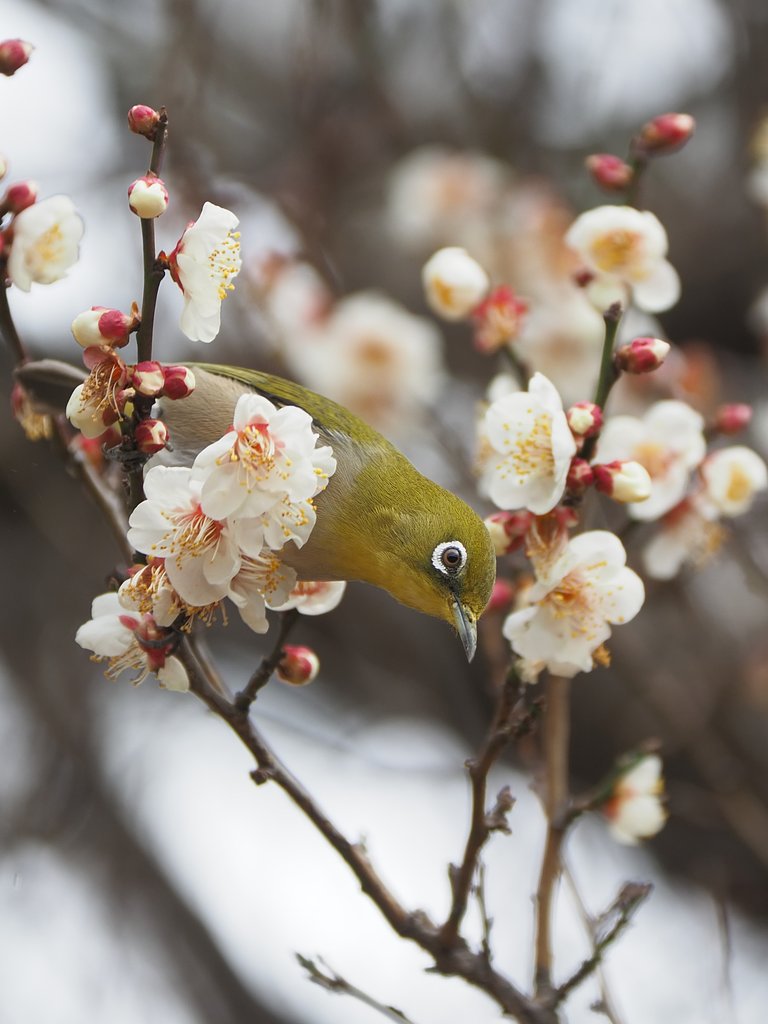 ちょっと一息